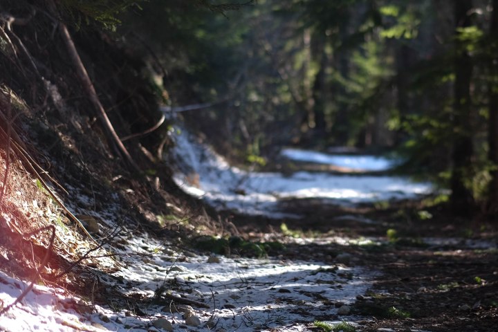 Snowy Day essentials: A Practical Guide to&nbsp;Jonas